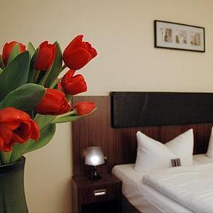 美因河畔法兰克福墨卡托城市酒店的卧室里装满红色郁金香的花瓶