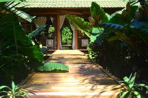 特贾库拉博勒海滩别墅Spa度假酒店的穿过种有植物的花园的步道