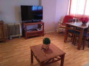 库列拉Apartamento Cabañal的客厅配有电视和植物桌子