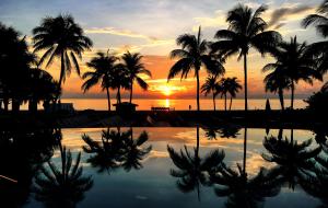 劳德代尔堡B Ocean Resort Fort Lauderdale Beach的棕榈树和游泳池的日落