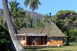 延根科洛村酒店的一座带茅草屋顶和棕榈树的小房子