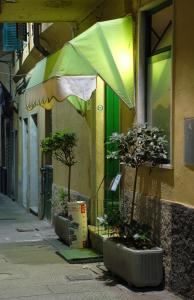 热那亚马杰尔酒店的街上的一把绿伞和两棵盆栽树木