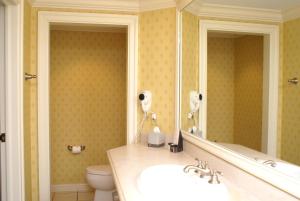 印第安纳波利斯哥伦比亚俱乐部酒店的一间带水槽、卫生间和镜子的浴室