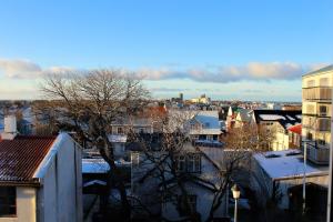 雷克雅未克Odinn Reykjavik Odinsgata Apartments的建筑物屋顶上积雪的城市