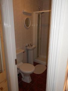 都柏林波特兰住宿加早餐旅馆的浴室配有卫生间、淋浴和盥洗盆。