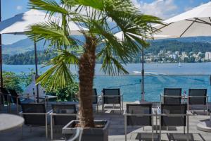 卢塞恩HERMITAGE Lake Lucerne - Beach Club & Lifestyle Hotel的棕榈树坐在水边的庭院里