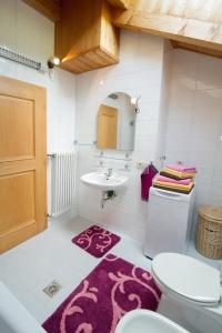 阿皮亚诺苏拉斯特拉达Tinnerhof的一间带水槽、卫生间和地毯的浴室