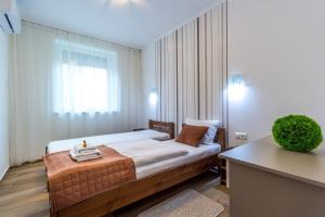 塞格德Aqualiget-Apartmanház的一间带床的卧室,位于带窗户的房间内