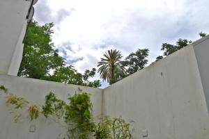 尼科西亚Chris House的后面有棕榈树的白色围栏