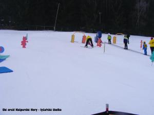 在度假屋或周边滑雪