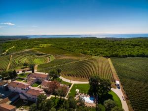 巴莱Meneghetti Wine Hotel and Winery - Relais & Chateaux的享有拥有大片葡萄藤的农场的空中景色