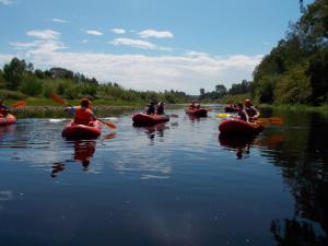 BuffeljagsrivierStonehill River Lodge by Dream Resorts的一群人划独木舟沿着河划船