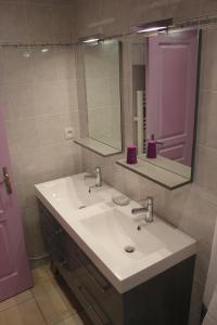 Tramoyes松鼠住宿加早餐旅馆的一间带水槽、镜子和紫色门的浴室