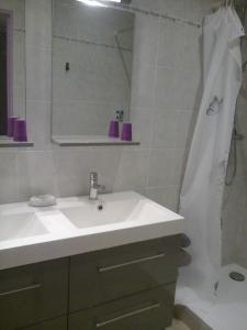 Tramoyes松鼠住宿加早餐旅馆的浴室配有盥洗盆和带镜子的淋浴