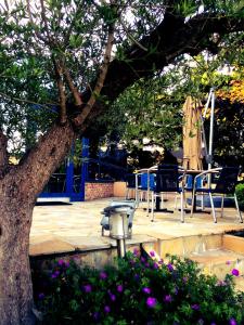 雷恩阿尔坎蒂乐伏尔泰酒店的庭院配有椅子、一棵树和一张桌子