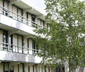 拉克雷奇东尼奥尔普托儿所瑞米尔经典酒店的公寓大楼设有阳台和一棵树