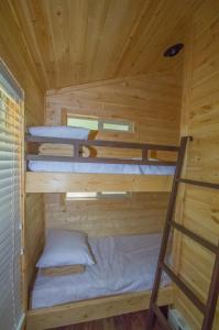 DescansoOakzanita Springs Camping Resort Cottage 4的小木屋设有两张双层床,配有梯子