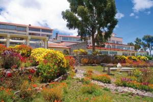 普诺泰彼卡拉拉戈酒店的一座花园,在一座建筑前种有鲜花