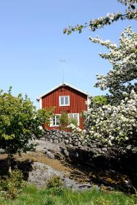 TrensumTjärö Hotell & Vandrarhem的一座红房子,位于一座鲜花盛开的山顶上