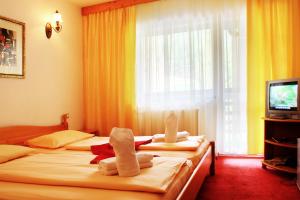 勒希纳里Pensiunea Mai的两张位于酒店客房的床,配有毛巾