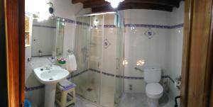 托尔纳瓦卡斯Antigua Posada, Valle del Jerte的带淋浴、卫生间和盥洗盆的浴室