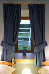 卢斯舍伽同农场小屋的卧室内带蓝色窗帘的窗户
