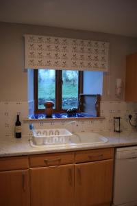卢斯舍伽同农场小屋的厨房设有水槽和窗户。