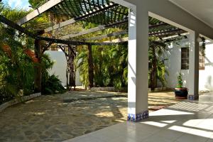 棕榈滩鹦鹉别墅酒店的相册照片