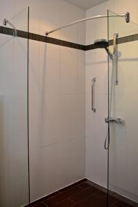 棕榈滩鹦鹉别墅酒店的浴室里设有玻璃门淋浴