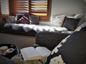 斯瑞德伯CHILL-OUT - Thredbo的客厅配有带书籍的沙发