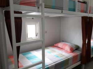 玛琅会泽杰旅舍的一间卧室配有一张双层床和窗户