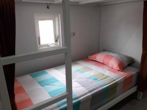 玛琅会泽杰旅舍的一间小卧室,配有一张双层床和窗户