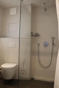 奥斯赛拜-塞林Ostseezauber的一间带卫生间和玻璃淋浴间的浴室