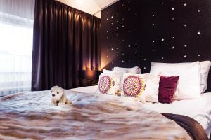 罗瓦涅米北极之光酒店的一张带枕头的大床上,一只白色的狗
