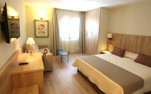 坎弗兰克埃斯塔西翁里尔阿娜耶特Spa酒店的配有一张床和一张书桌的酒店客房