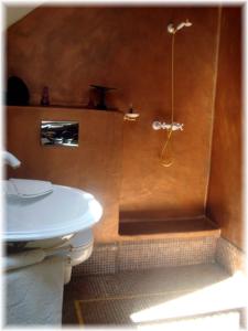Thorenc拉贝卡西亚酒店的带淋浴、卫生间和盥洗盆的浴室