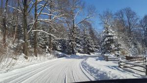 缅济莱谢Potoczek 19的一条有栅栏和圣诞树的雪覆盖的道路