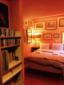 马科普隆韦瑞洛纳画廊地下室旅馆的一间卧室设有一张床和一个书架