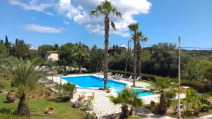 康托卡利Gerekos Island Apartments的一个带游泳池和棕榈树的度假村