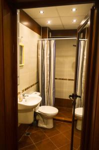 桑丹斯基Main Street Apartment的一间带水槽、卫生间和淋浴的浴室