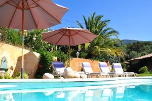奥尔梅托Villa Vetricella Corse Sud的一组椅子和遮阳伞,位于游泳池旁