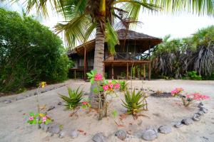 MkwajaSimply Saadani Camp, A Tent with a View Safaris的海滩上的房子,棕榈树和鲜花