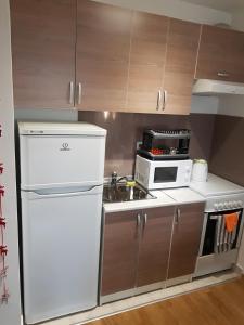萨拉热窝Studio Apartment Ena S的厨房配有白色冰箱和微波炉