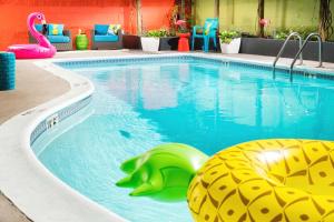 西雅图Staypineapple, University Inn, University District Seattle的水中一只玩具龟的酒店游泳池