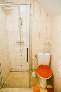 斯祖贝莱克Apartmány Bistár的带淋浴的浴室以及带玻璃门的卫生间。