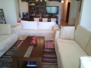 科洛皮奥Green Villa near Airport的客厅配有两张沙发和一张咖啡桌