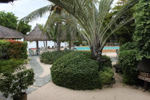 邦劳丽娜海滩度假村的棕榈树和游泳池的度假村