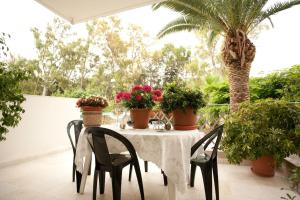 雅典雅典素食花园住宿加早餐酒店的天井上配有桌椅和盆栽植物