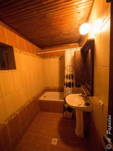VronterónAl Monte Hotel的浴室配有盥洗盆和浴缸。