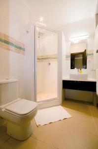 伊丽莎白港哈勃精品酒店的带淋浴、卫生间和盥洗盆的浴室